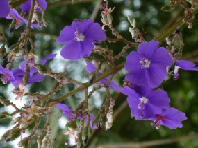 P1010405